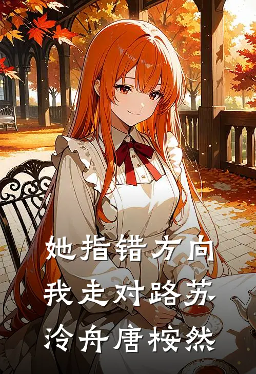 她指错方向，我走对路苏泠舟唐桉然