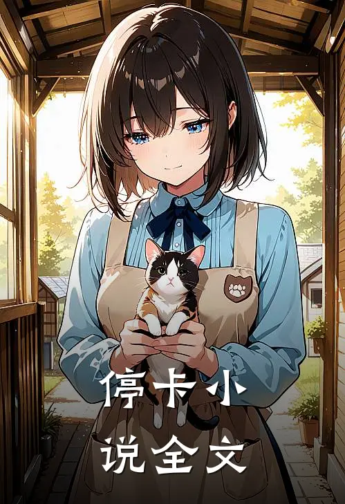 停卡小说全文