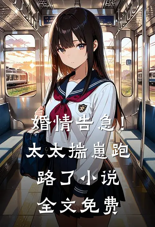 婚情告急！太太揣崽跑路了小说全文免费