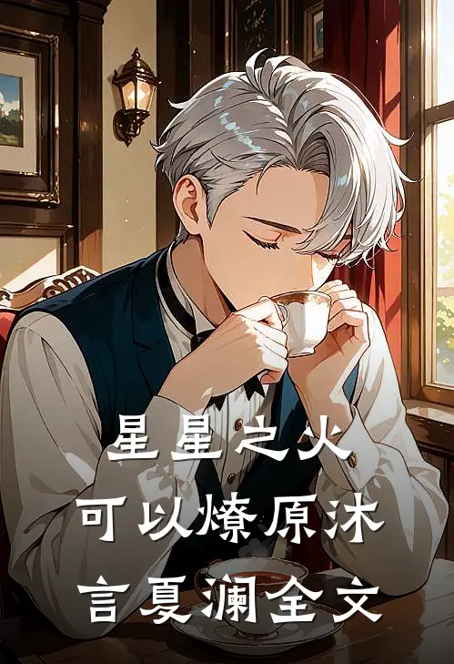 星星之火，可以燎原沐言夏澜全文
