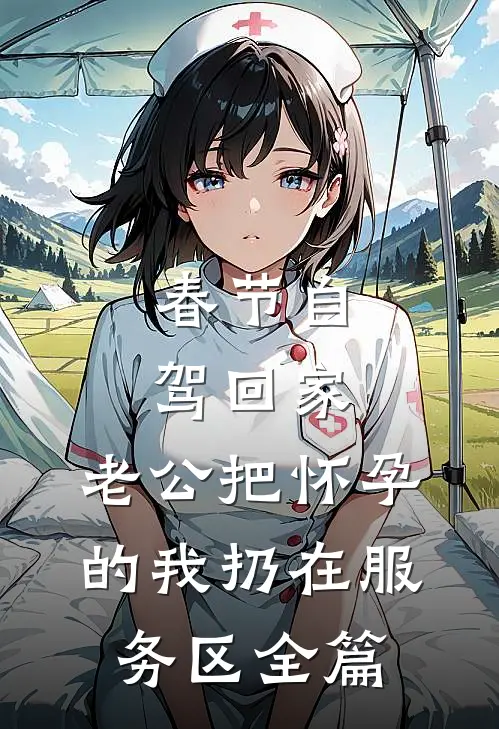 春节自驾回家，老公把怀孕的我扔在服务区全篇