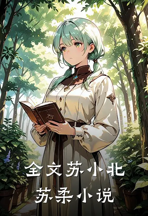 全文苏小北苏柔小说
