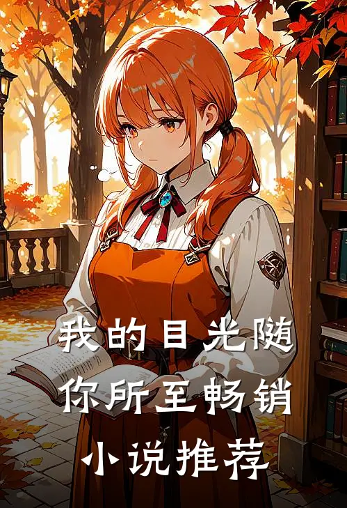 我的目光随你所至畅销小说推荐
