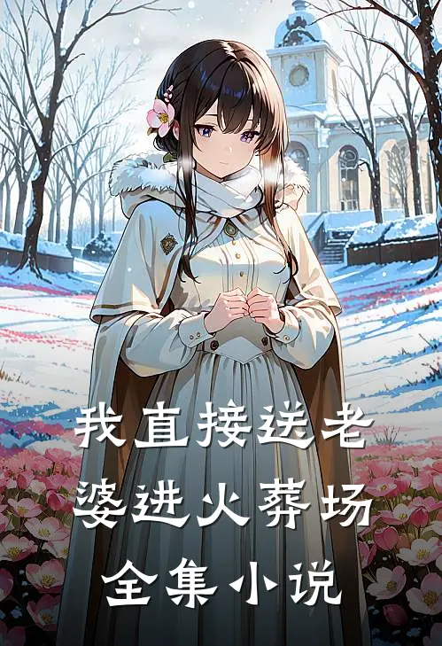 我直接送老婆进火葬场全集