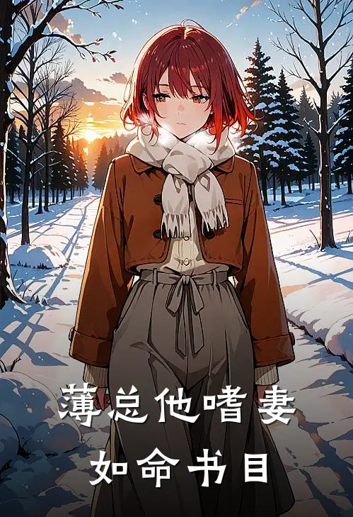 薄总他嗜妻如命书目