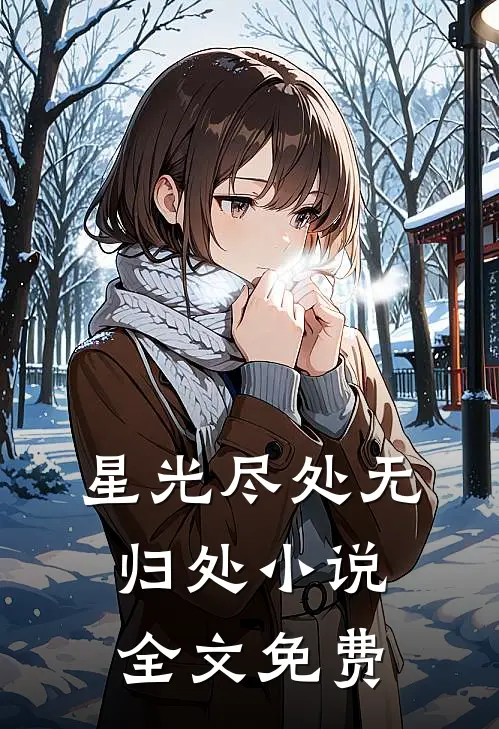 星光尽处无归处小说全文免费