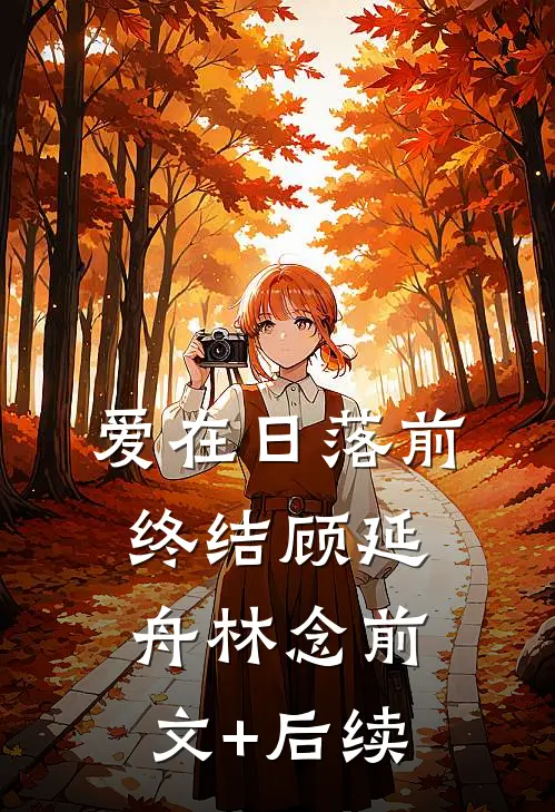 爱在日落前终结顾延舟林念前文+后续