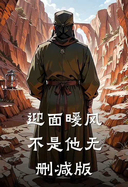 迎面暖风不是他无删减版