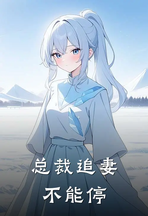 总裁追妻不能停
