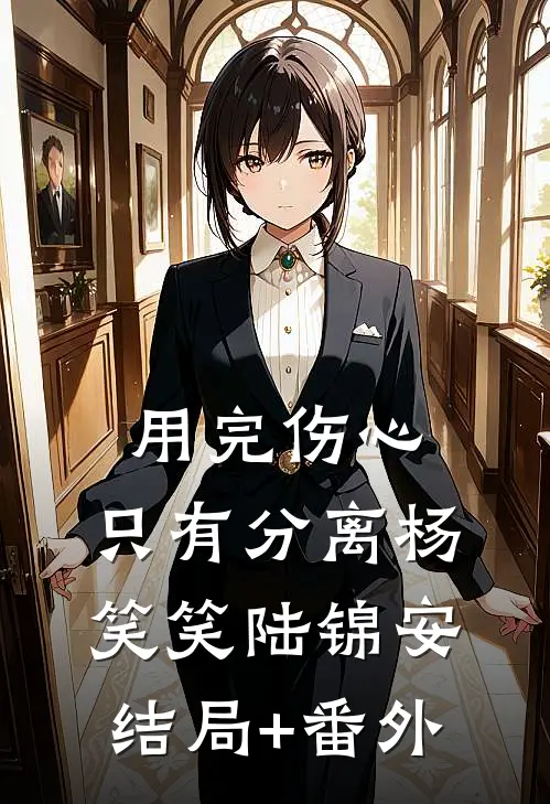 用完伤心，只有分离杨笑笑陆锦安结局+番外
