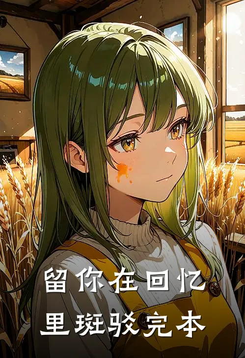 留你在回忆里斑驳完本